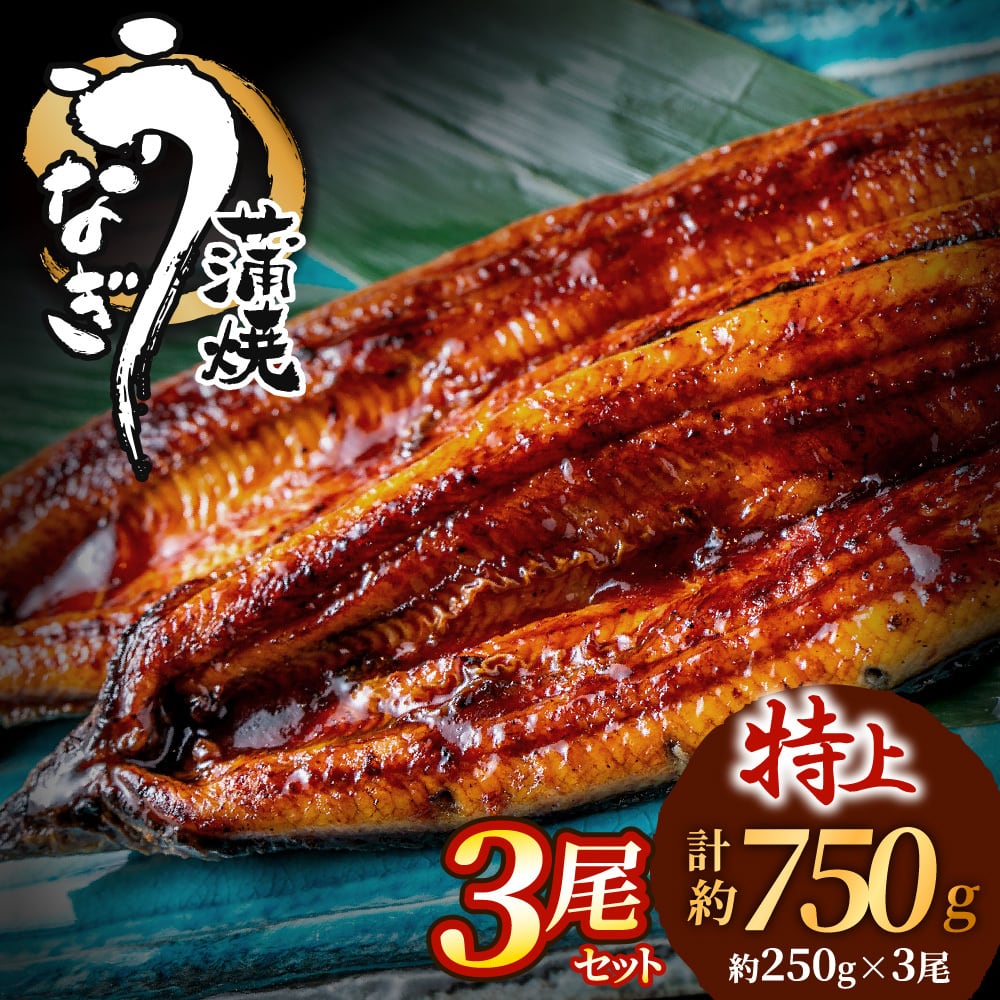うなぎ蒲焼き3尾セット(約250g×3尾セット) | 魚住商店