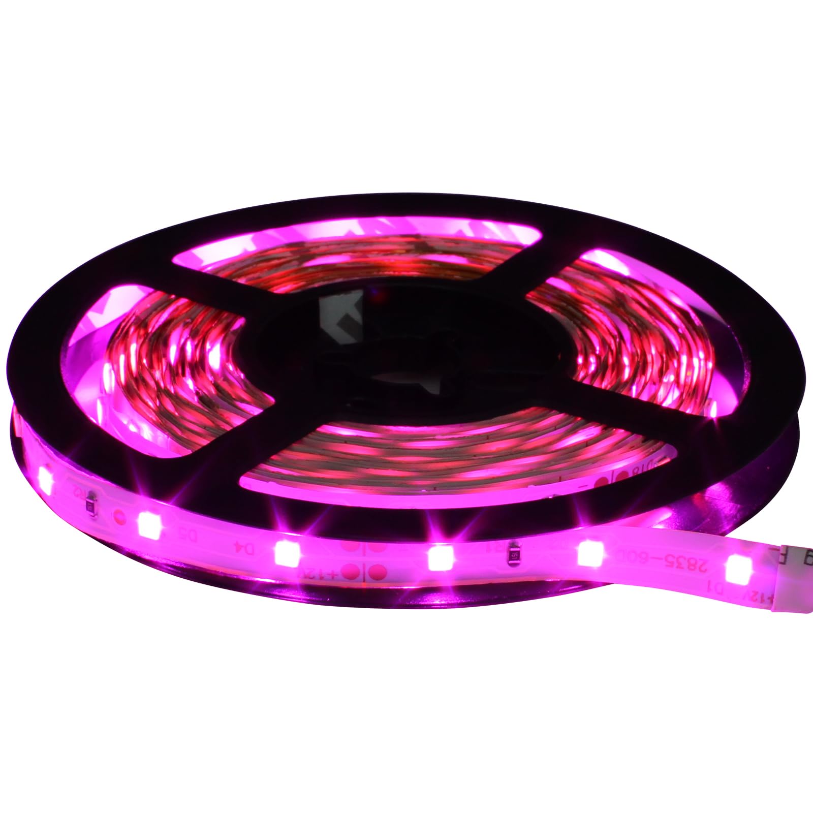 ローマピンク　LEDライト　今週末のみセール中 Kaito Denshi(海渡電子) LEDテープライト 300灯 12V 両端子 1チップ