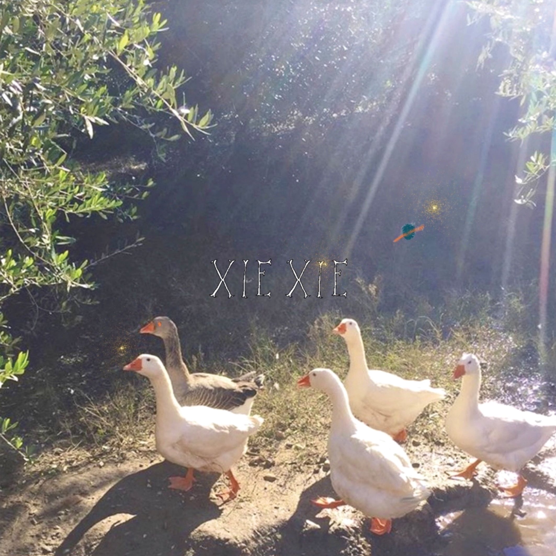 xiexie / XIEXIE / 33（LP）