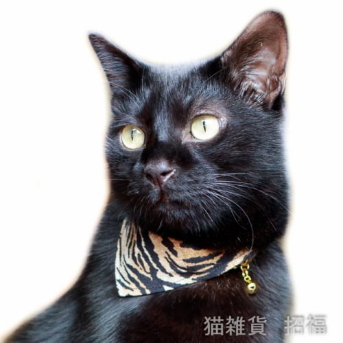 猫雑貨招福】猫の首輪 唐草 ツーウェイ2点セット「バンダナ+