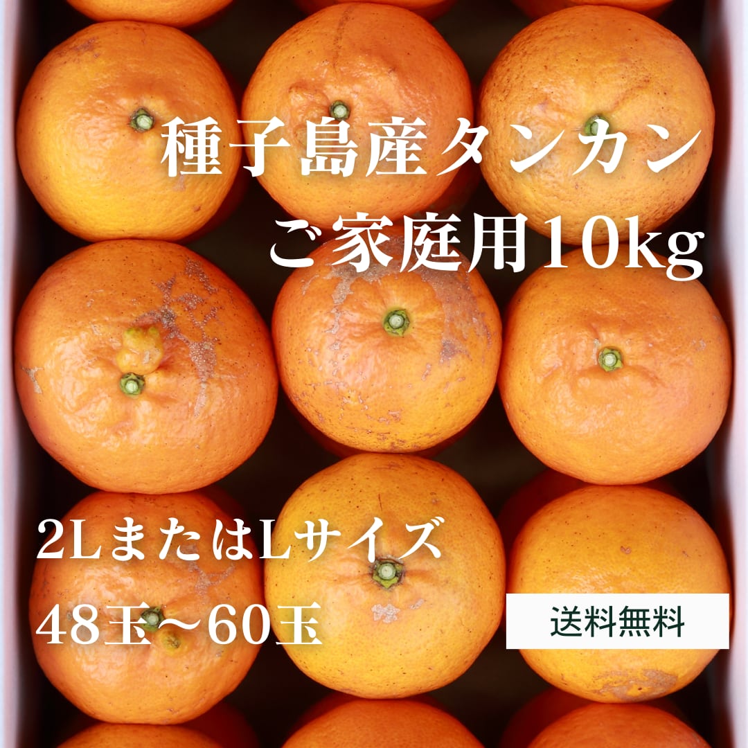 タンカン(ご家庭用) 10kg 2LまたはLサイズ 48玉～60玉 送料無料