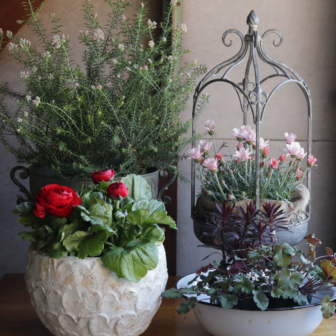 シャビープラントスタンド アイアンスタンド | 直香園芸