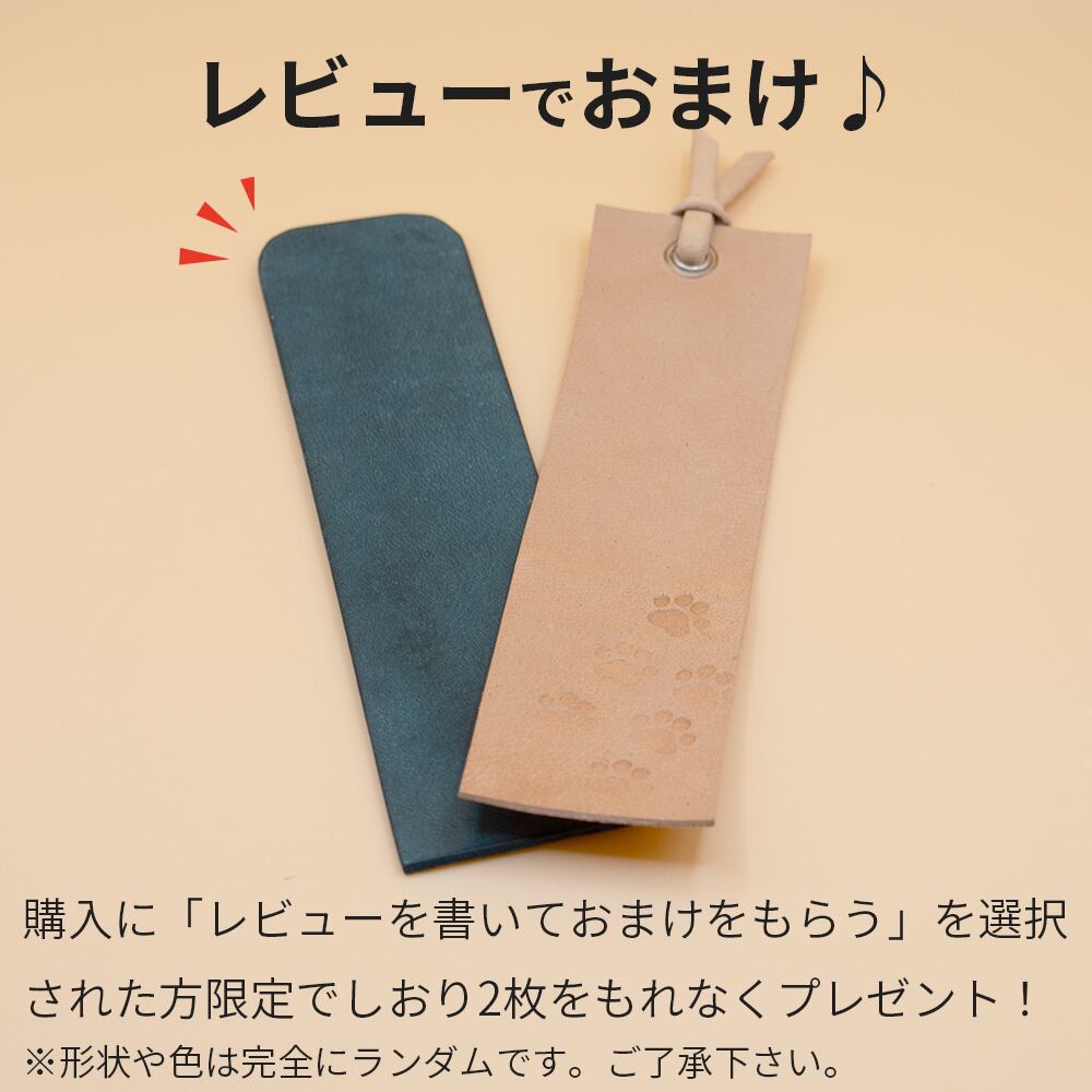 PERGAMON(ペルガモン) 聖書カバー 本革 ヌメ革 小型用 『ソジ