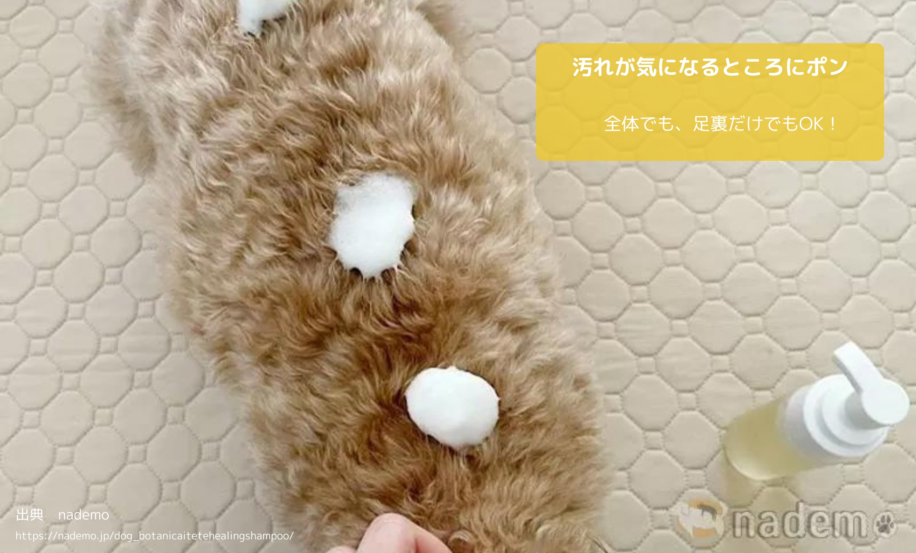 犬用ドライシャンプー　Botanicaltete DRY SHAMPOO for dog　150ml