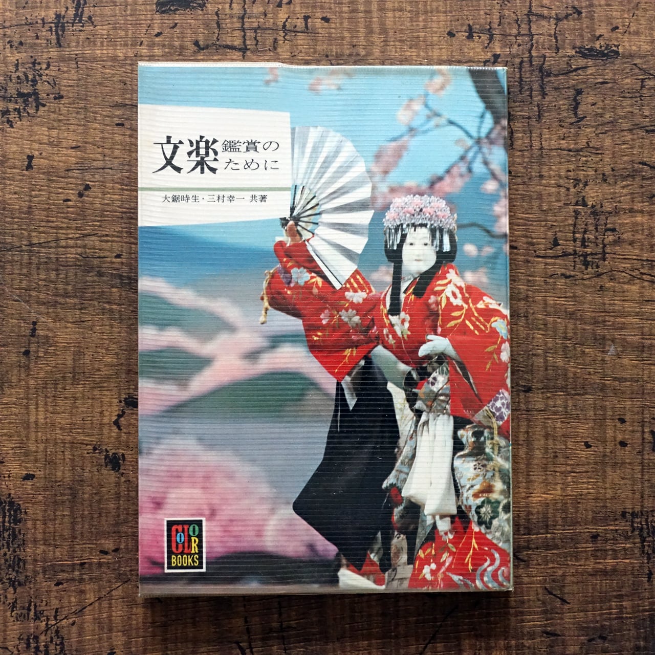 カラーブックス | タイムカプセル