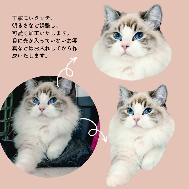 うちの子グリップ