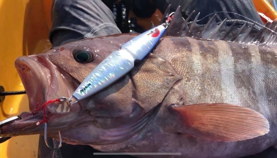 FMB JAPAN ZEN 禅 120g | LifeFishingJAPAN SELECTSHOP