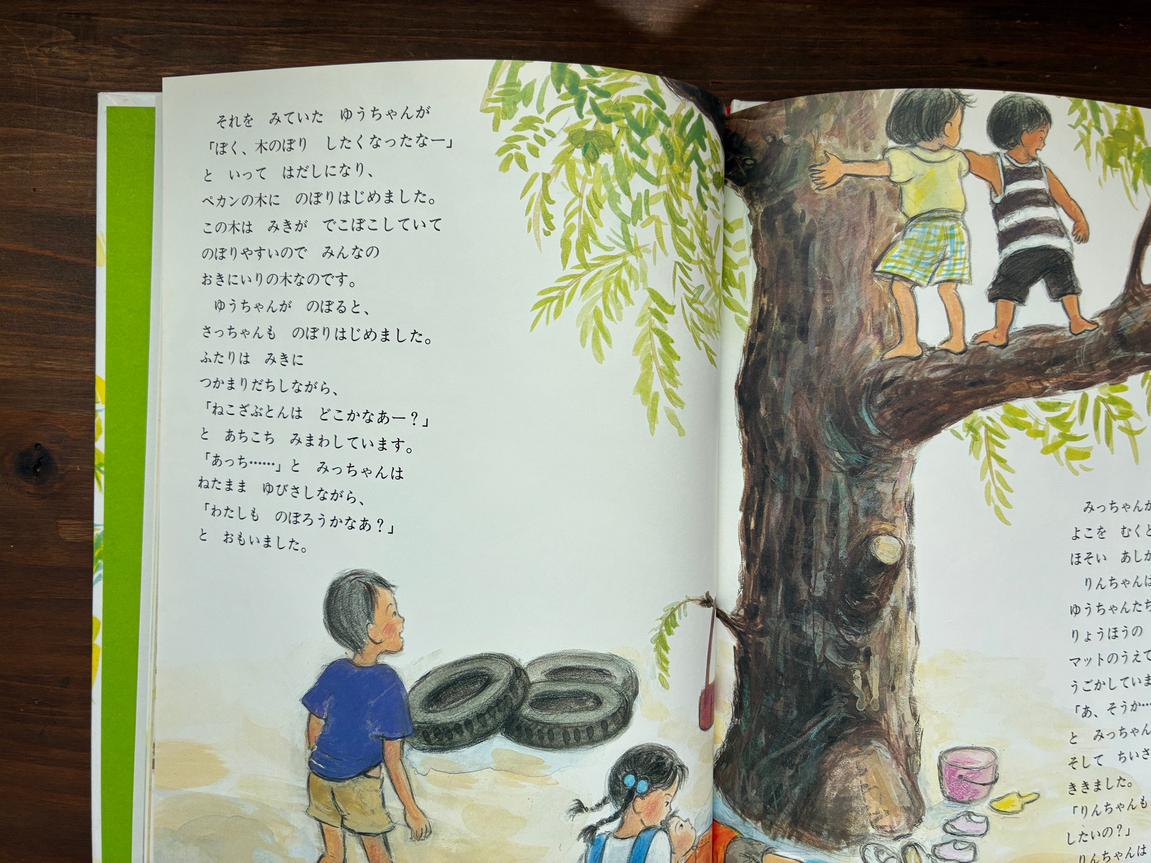 ペカンの木のぼったよ