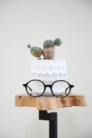 【S】オベサブロウ/Euphorbia