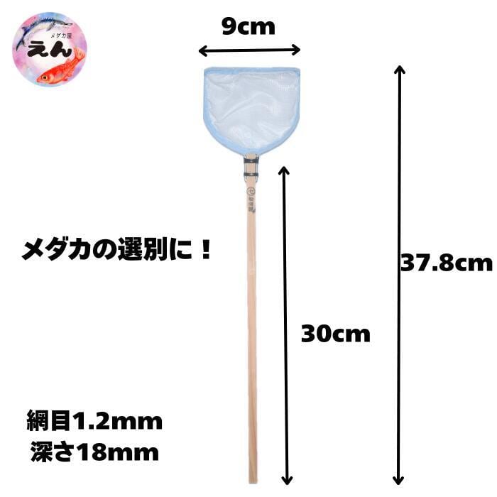 マツモ5本 | メダカ屋えん