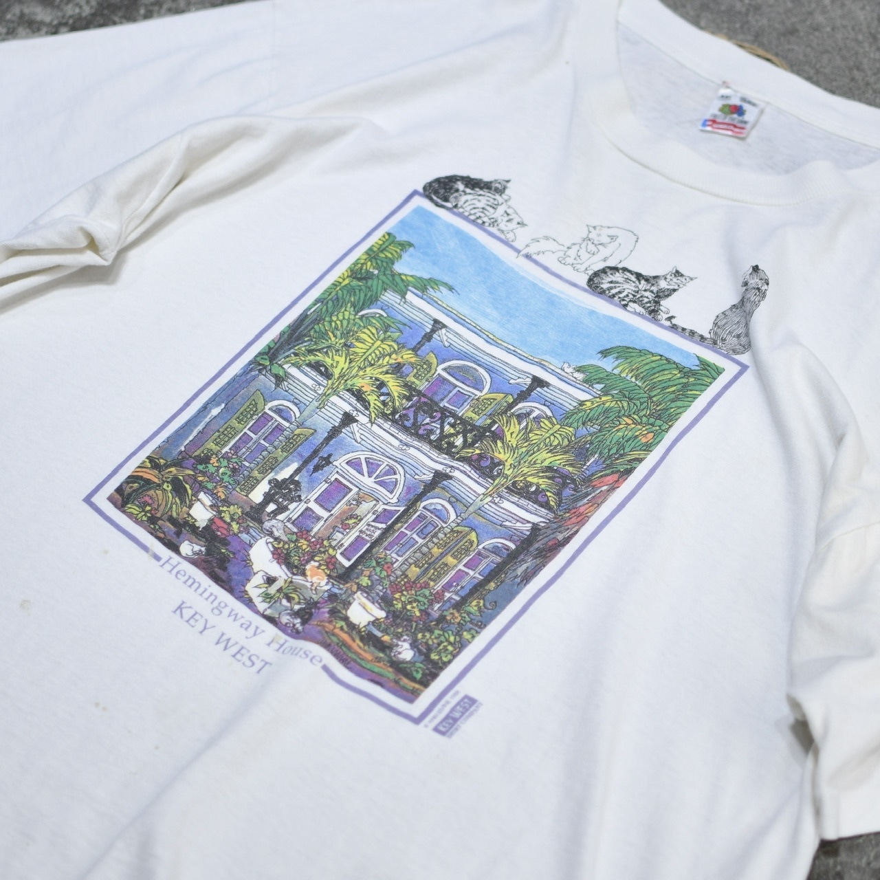 88's Hemingway house cat print tee