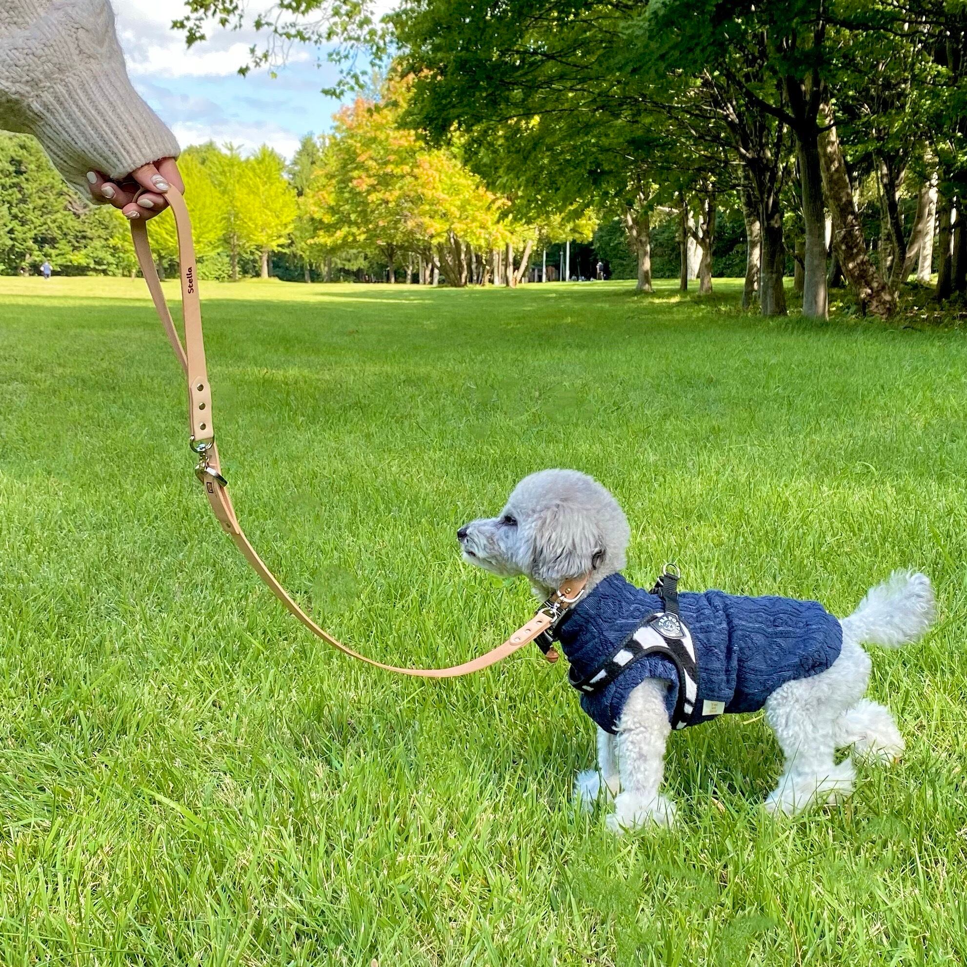 マルチリード / ヌメ本革 北海道レザー dog leash | オーダーメイド