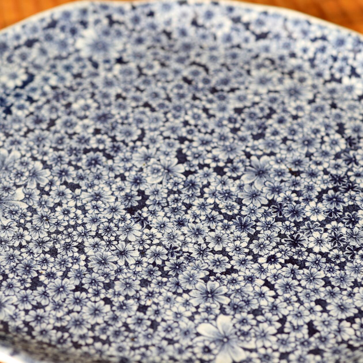 ⬇️辻修窯 ⭐︎ コスモスがいっぱい 秋桜 有田焼 ⬇️辻修窯