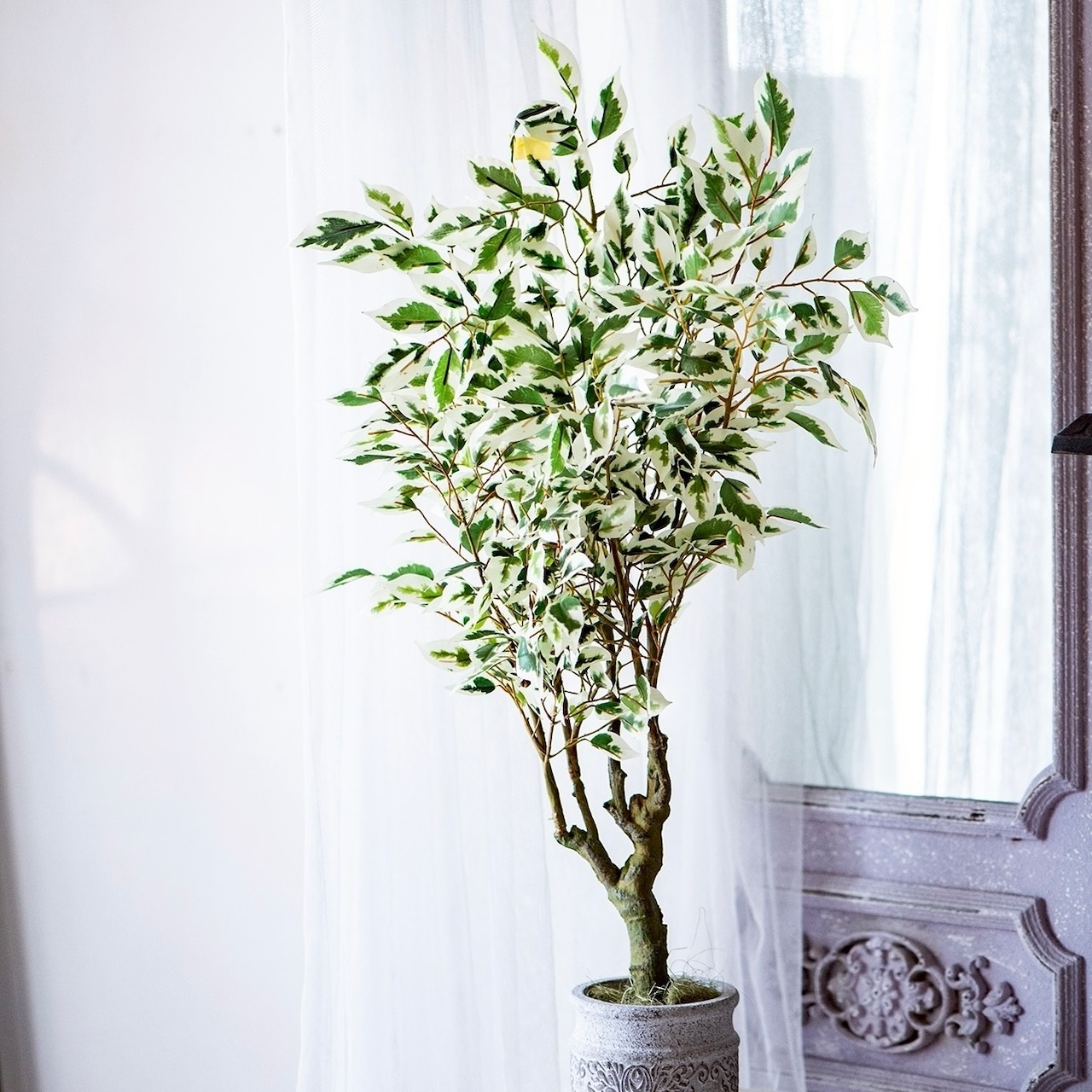 フィカス ベンジャミン 斑入り フェイクグリーン 観葉植物 インテリア シンボルグリーン H約75cm