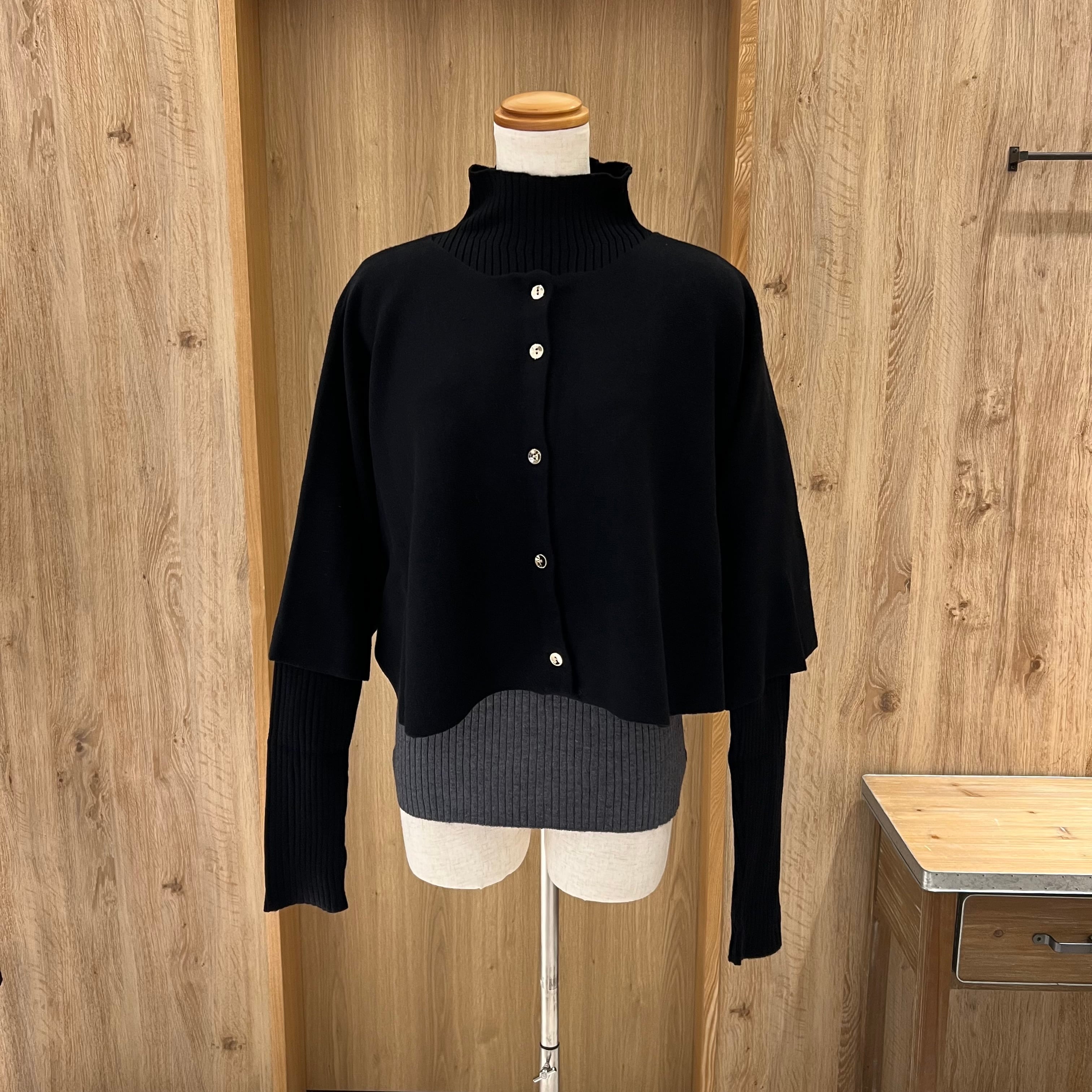 PalmRICHE 【2026AW】ケープアンサンブルニット(N) | whispermusee