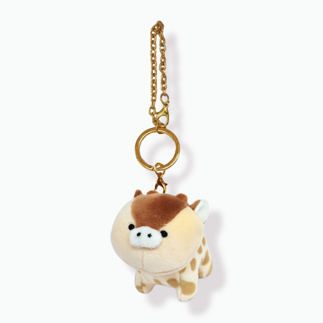 mofmofriends | ACCENT STORE