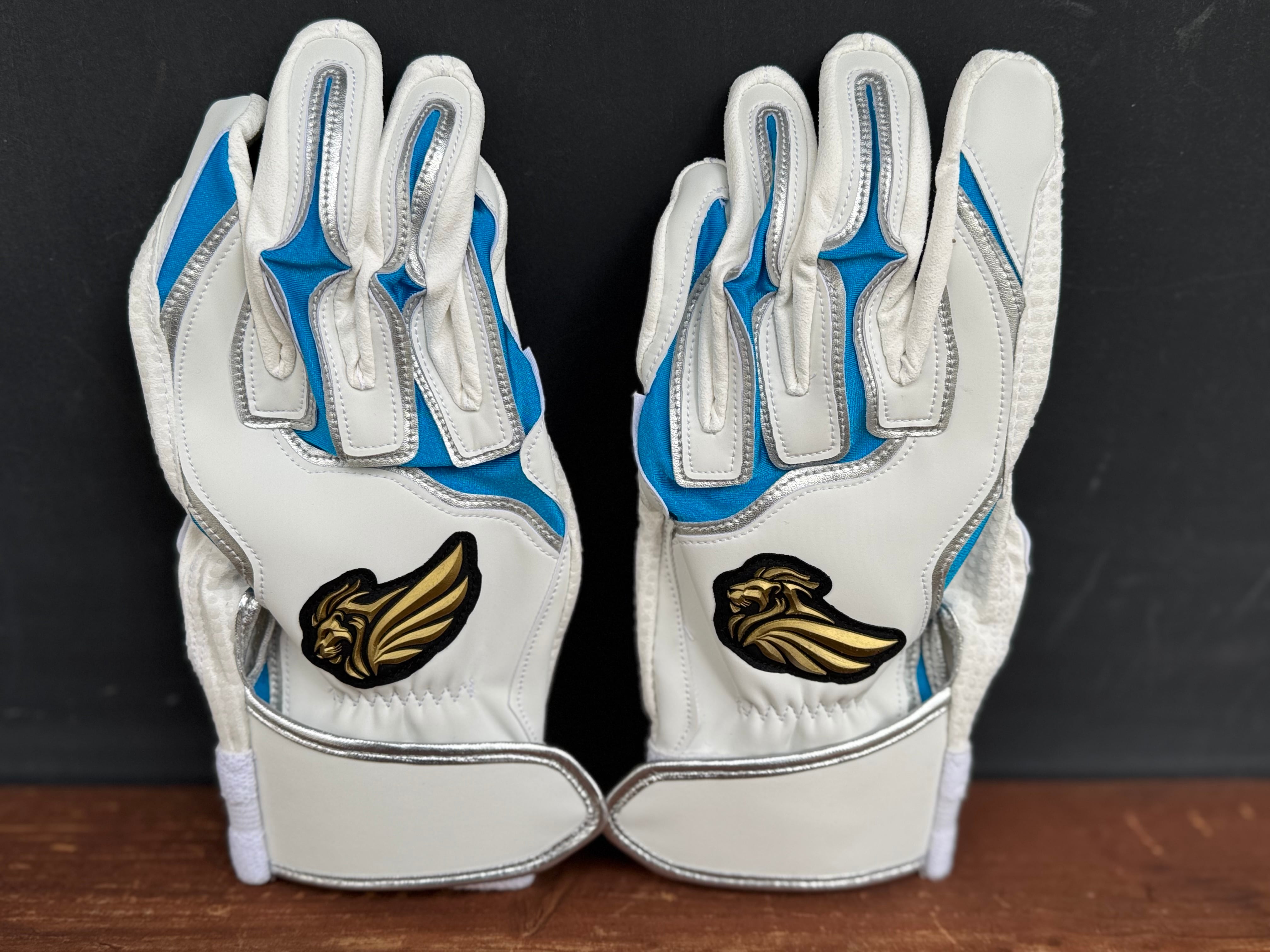 【実使用】谷佳知選手シューズ&バッティンググローブ バッティング手袋 | 野球専門店87スポーツ