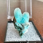 クリソコラ / クォーツ【Quartz on Chrysocolla】コンゴ民主共和国産