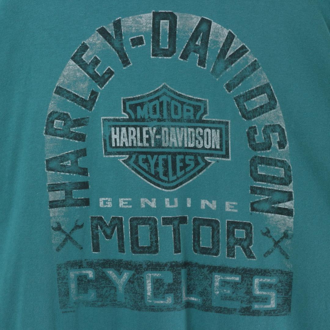 ハーレー ダビッドソン HARLEY-DAVIDSON Tシャツ 半袖 ショートスリーブ GRAND CANYON ロゴ 両面プリント Hanes MADE IN U.S.A サイズ：XL ブラック   mellow ゆうパケット対応
