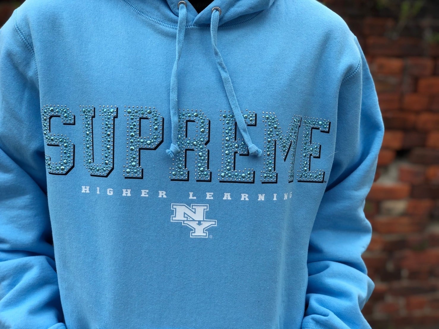 supreme '20 Icy Hooded Sweatshirt L 売切り