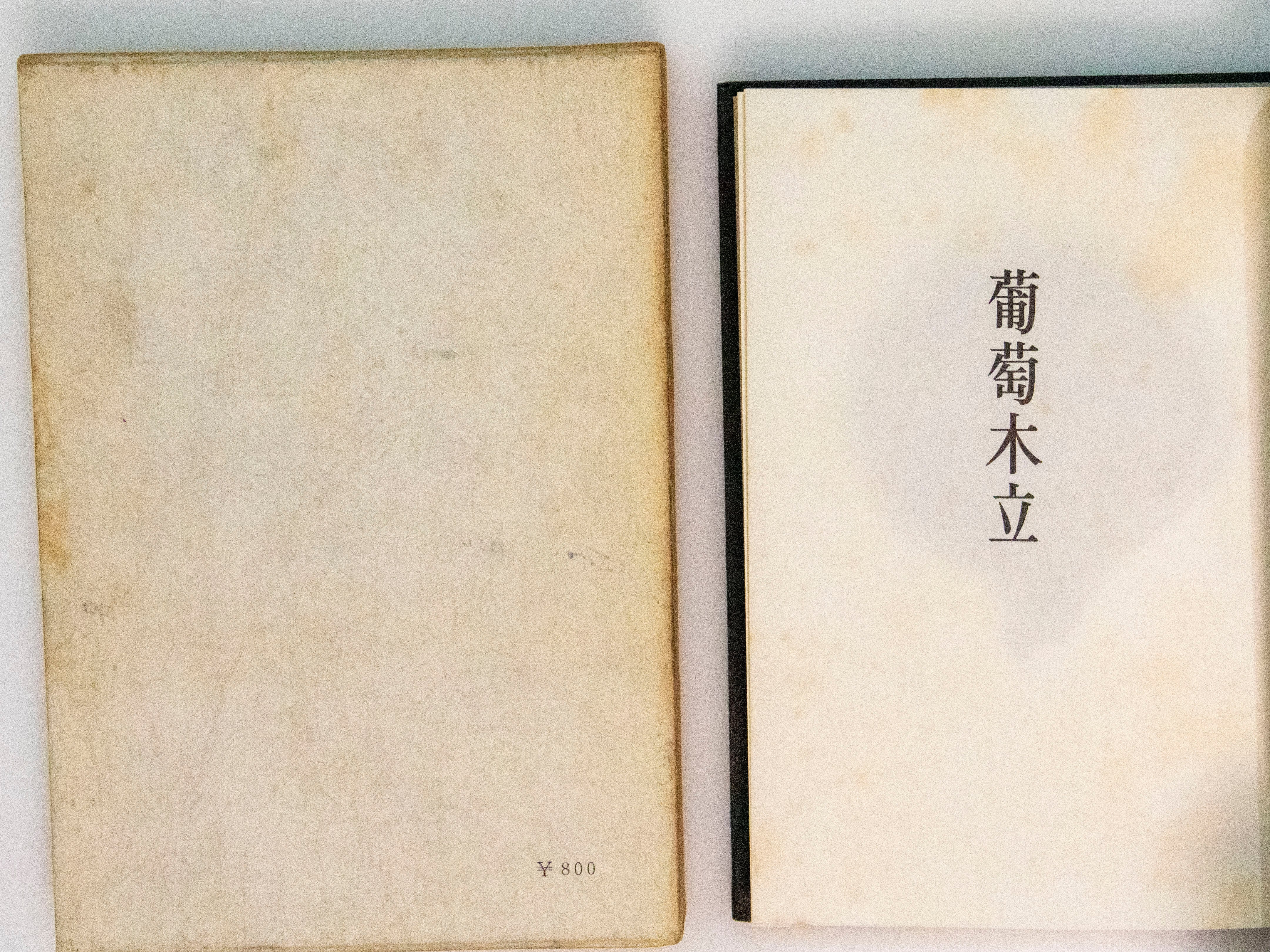 葡萄木立 / 葛原妙子 [37690][難] | 書肆田高
