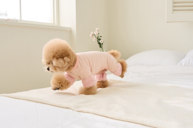 【送料無料期間中】ベイビーロンパース(PINK)