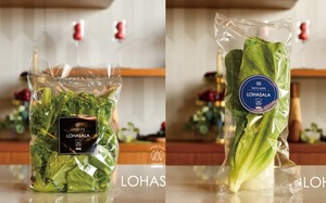 LOHASALA　レタスミックス小分け　5個×100g+ロメイン株　5個　無洗LED栽培野菜