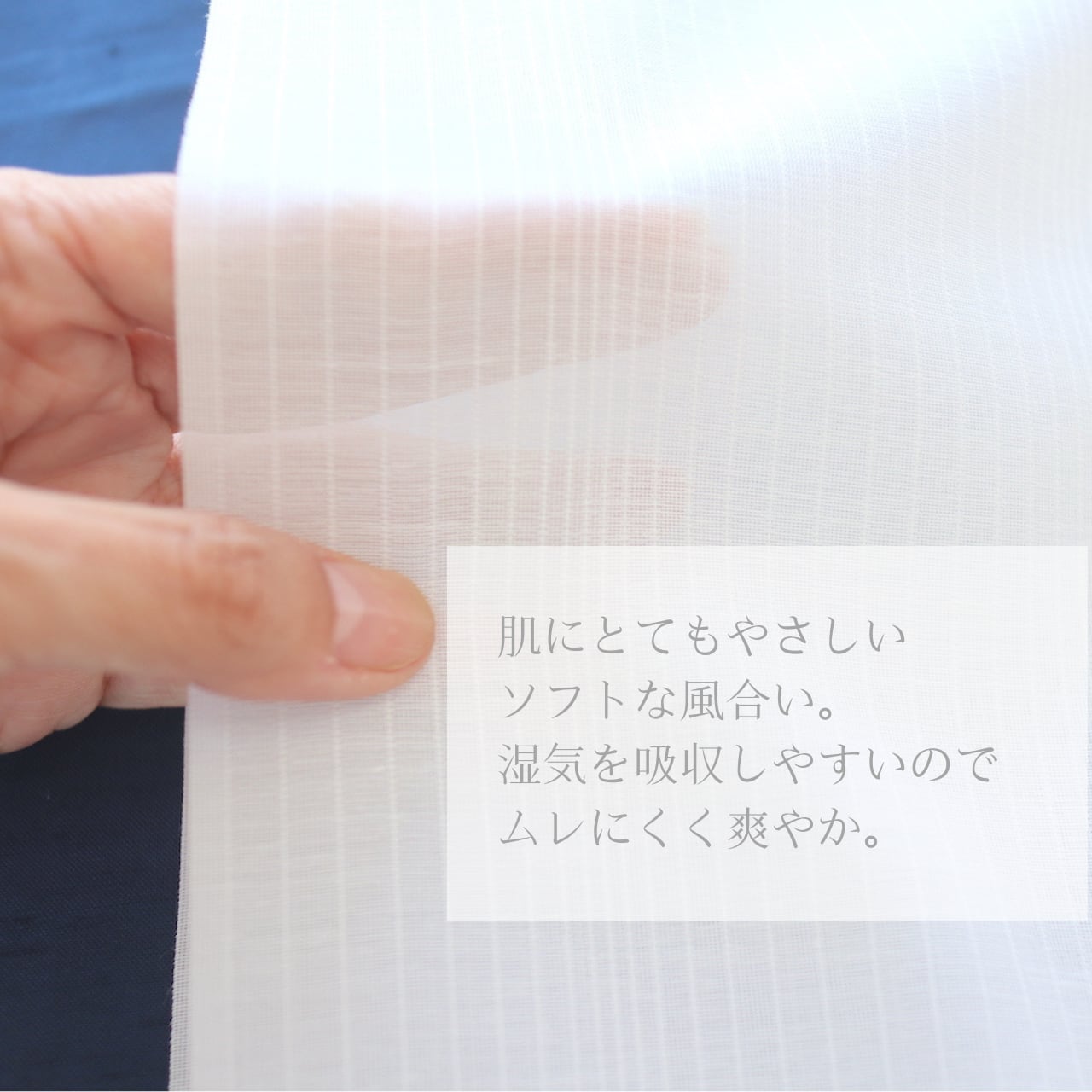 長襦袢】【東レ爽竹】【セオα】 【反物】 縦絽 白色 セオα お家 長襦袢】【東レ爽竹】【セオα】 【反物】 縦絽 白色 セオα お家