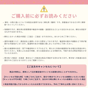 【有精卵】孵化用 豊橋産 日本うずらの卵 10個入り 5パック