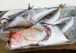 いちおし干物詰め合せ3000円（送料無料）