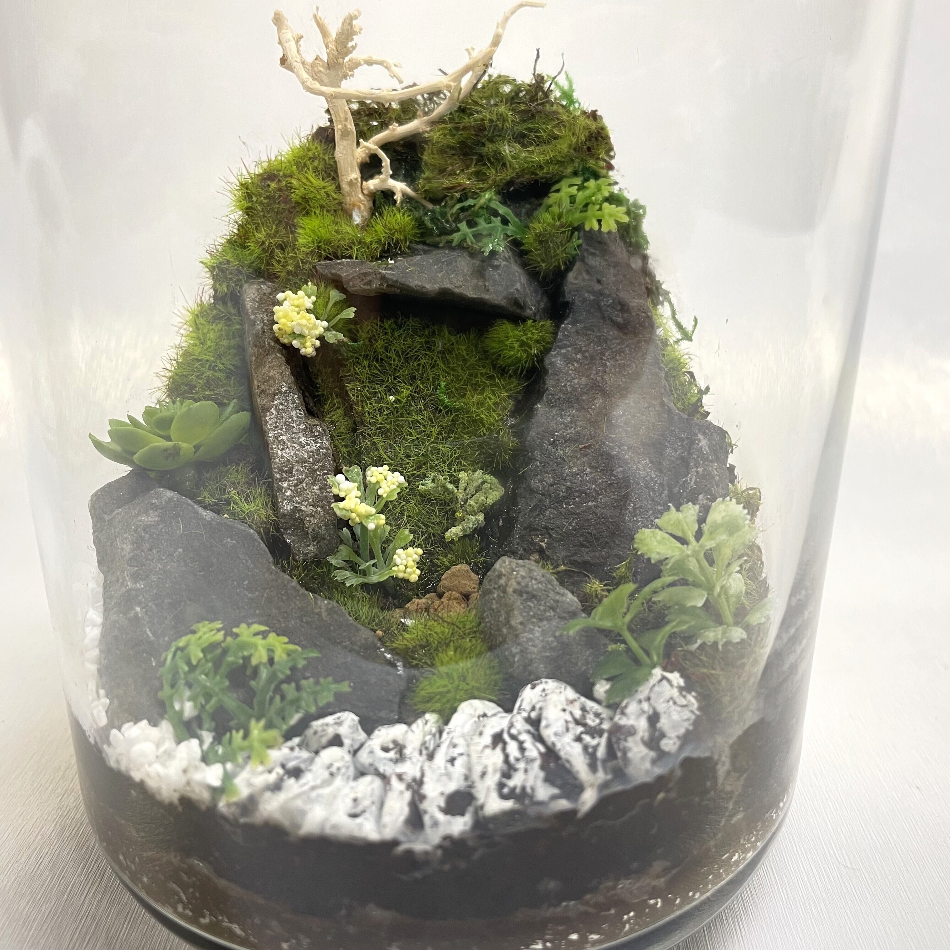 苔テラリウム　コレクション No.１ 苔テラリウム コレクション No.1 苔テラリウムNO.5 LEDライト付