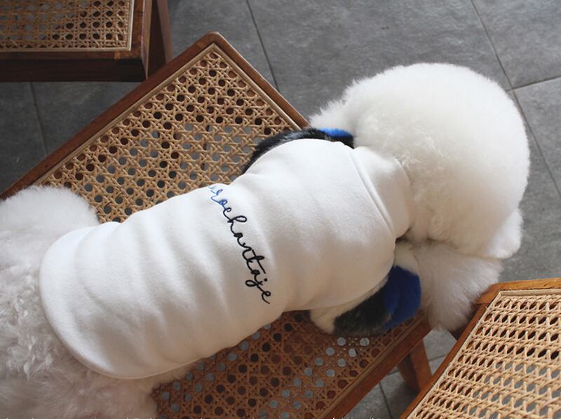 ミンクファー袖トレーナー S ~ XL 2color / 犬服 新作 ドッグウェア 小型犬 中型犬 犬 服 ジャケット ペット用品 ペット洋服