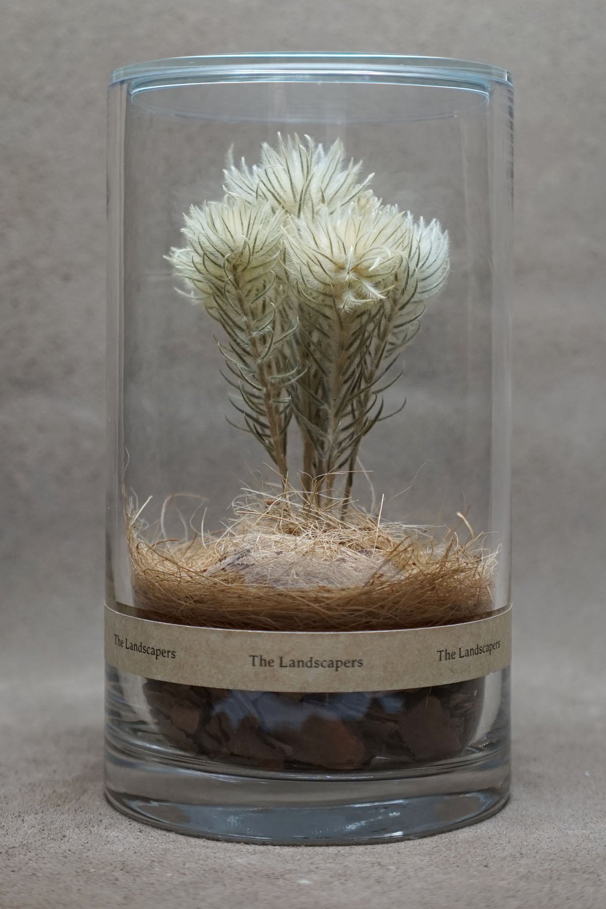 Dry Cylinder | The Landscapers