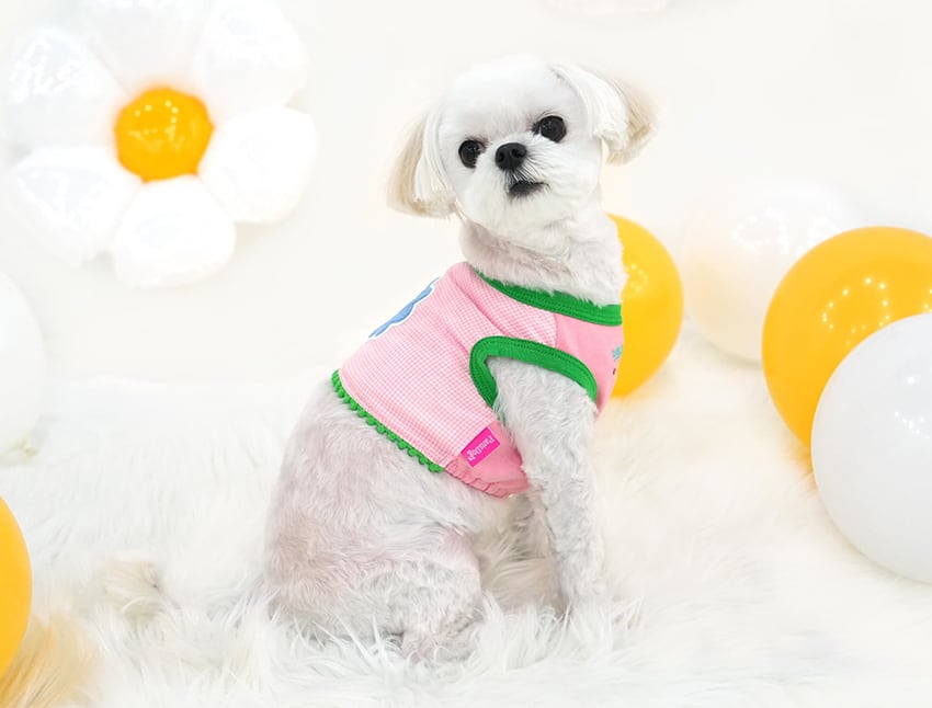 smile flower crop top S ~ XL 2color / 犬服 春夏 新作 可愛い 犬の服 Tシャツ ショート丈 トップス crop top おぱんつカット お揃い ドッグウェア 涼しい ストレッチ カラフル top159