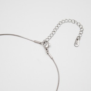 シックスペンスコインスネークチェーンネックレス コイン ペンダン