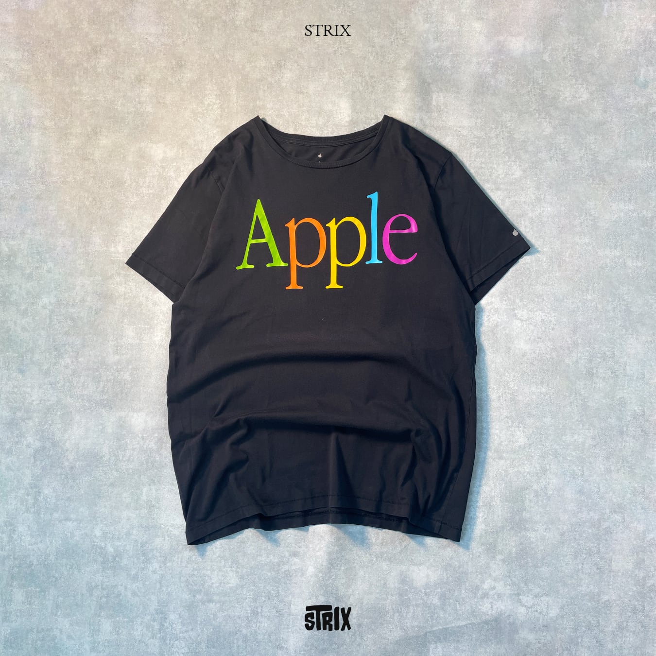 Apple】 Apple本社限定 レインボーロゴ Tシャツ シングルステッチ