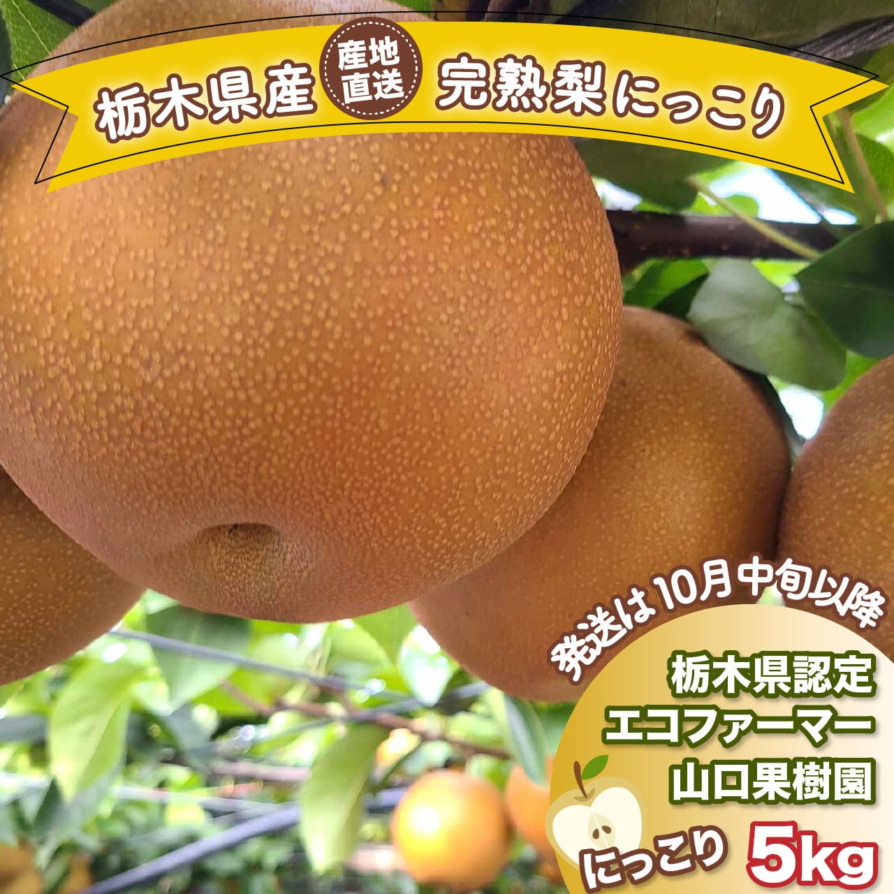 完熟梨 にっこり 5kg | 山口果樹園｜産直通販「あるよ」応援プロジェクト