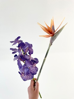 Flower edit 002