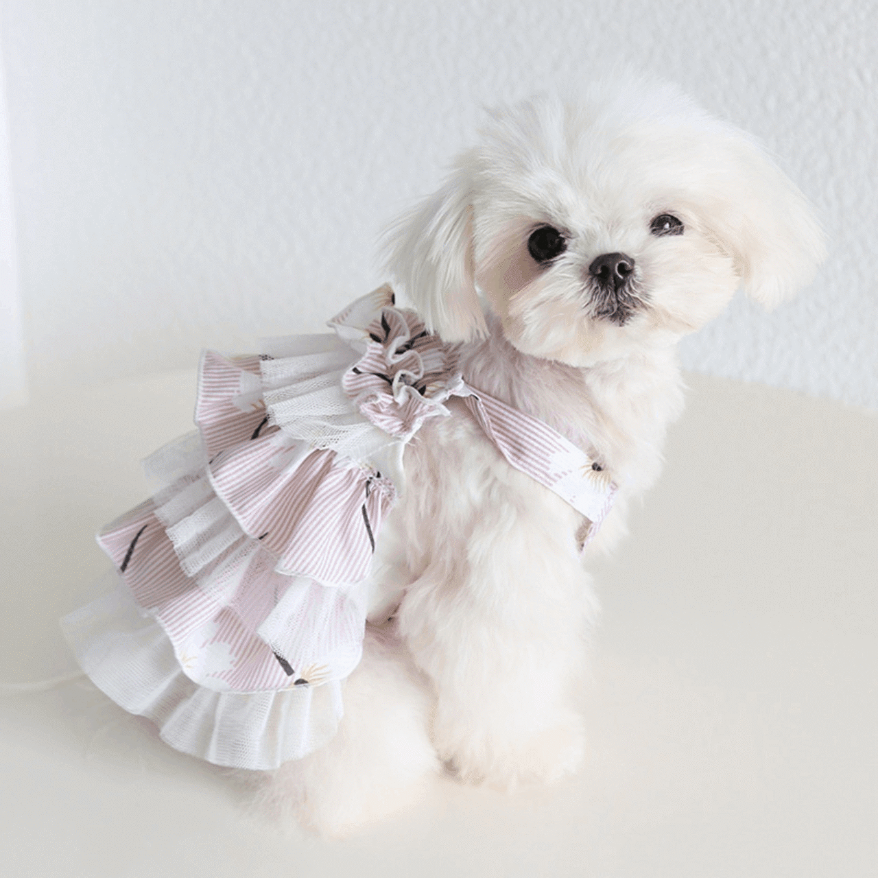 【PET】4色展開韓国風花柄イラスト入りサスペンダースカート