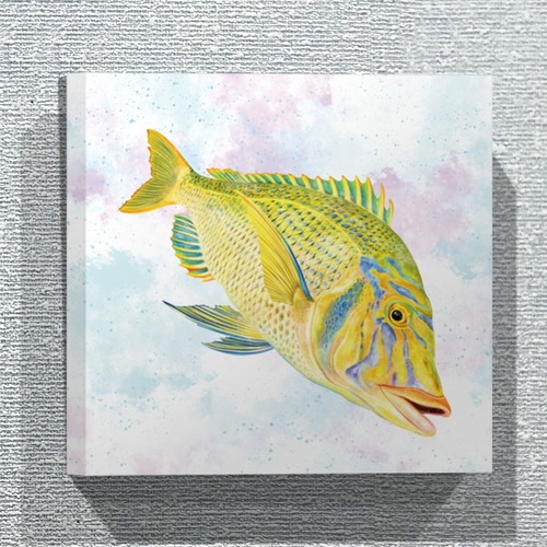 【ファブリックパネル／30×30cm】タマン（ハマフエフキ）