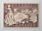 繊維工業 / ベルギー 1955