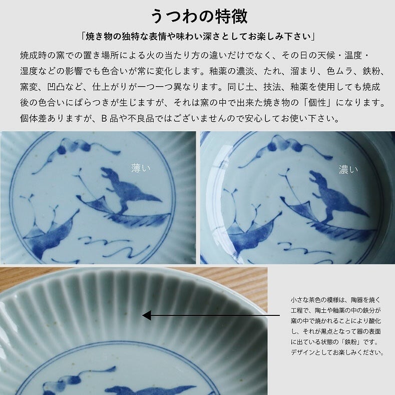 江戸っ子恐竜 鎬竜 銘々皿 【日本製 美濃焼】 | 福井勝山お土産