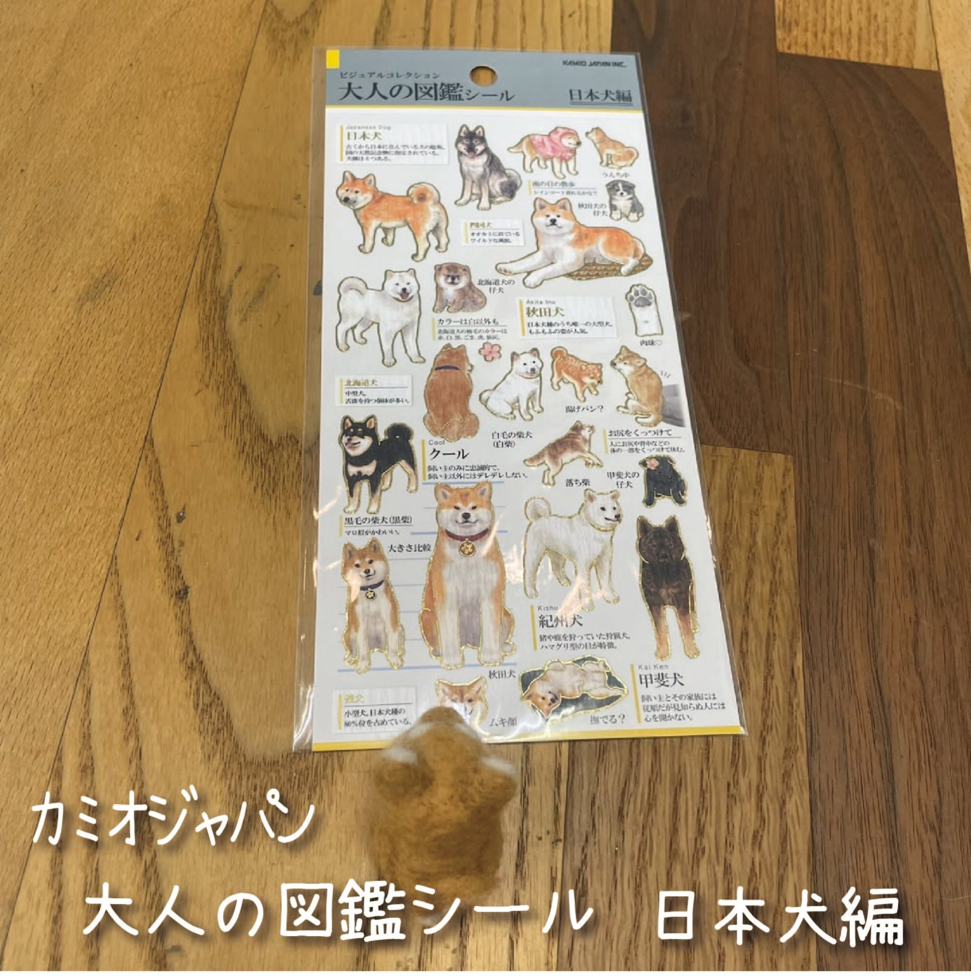 大人の図鑑シール 日本犬編 | 看板犬のいる文具屋さん