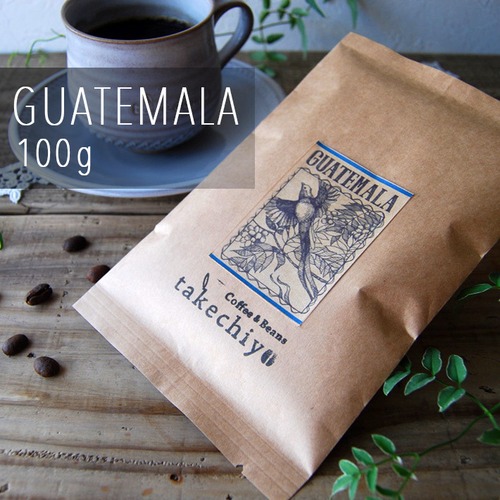 グァテマラ【100g】芳醇でほどよい酸味【自家焙煎コーヒー豆】