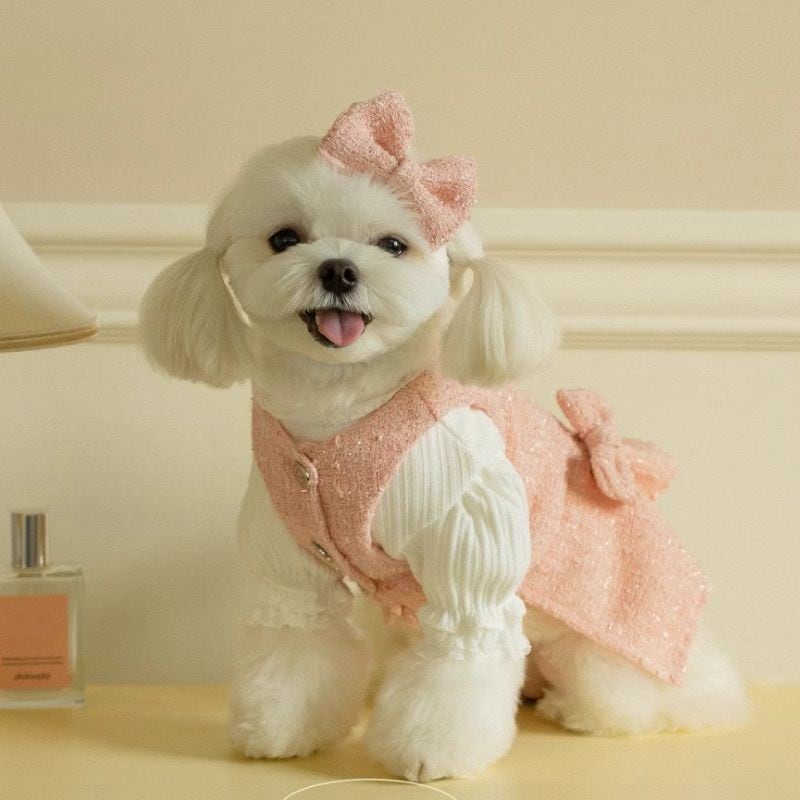 ラメ入りツイードワンピース(リボン付き) 犬服 00344