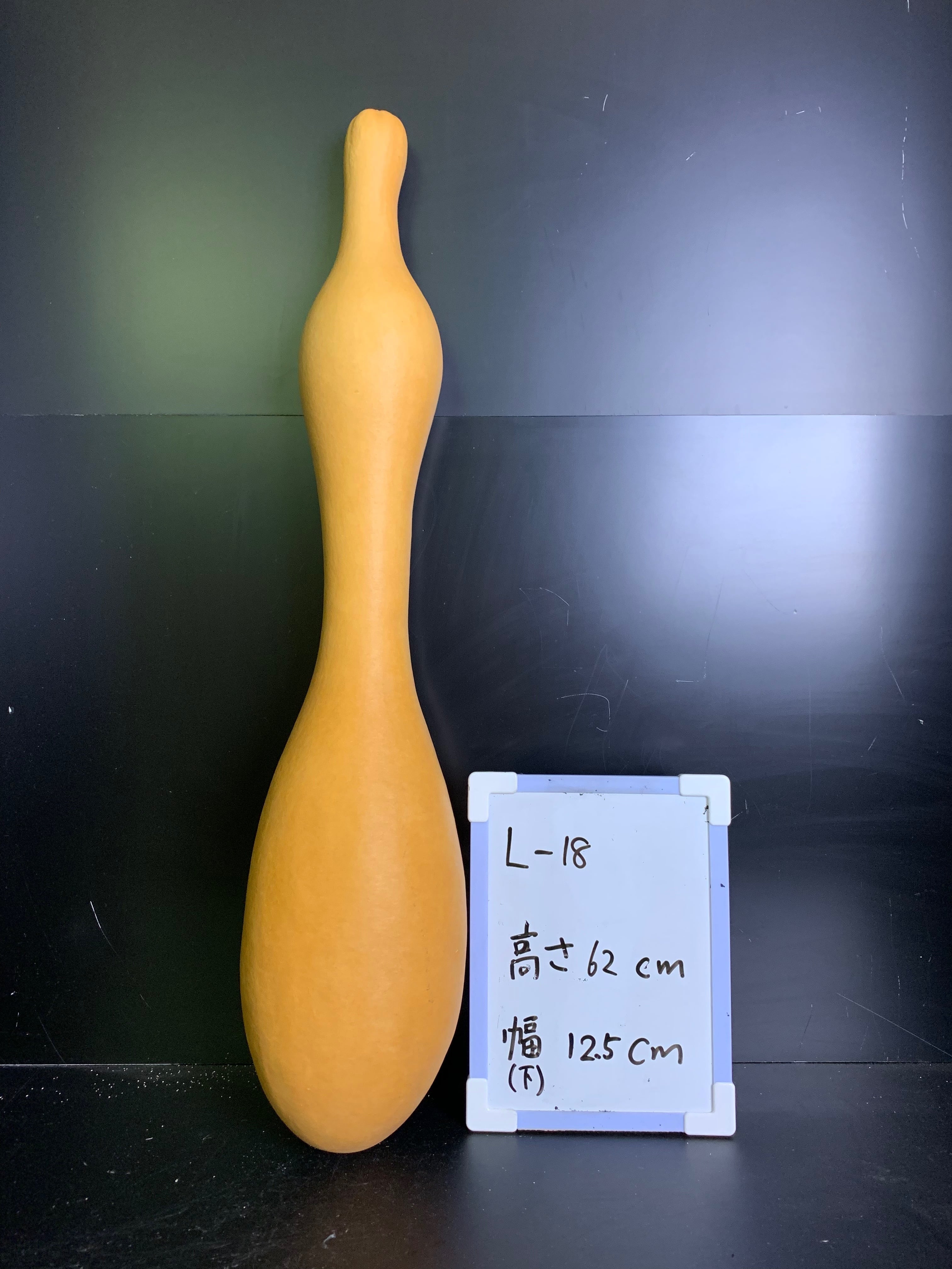 国産 ひょうたん [瓢箪] L-15 乾燥済 加工 ランプ 素材用に