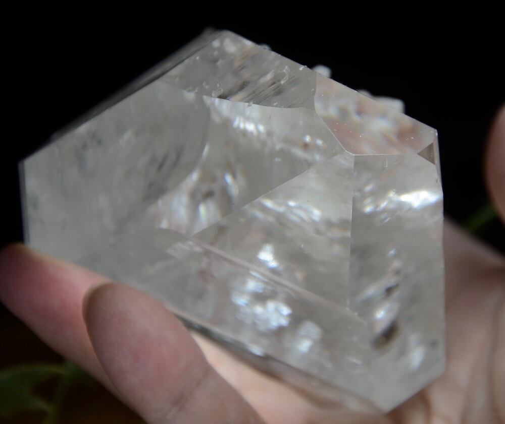 レムリアンシードクリスタル レムリアンシードクリスタル（CASA BLESSING®）L0005-31~金の龍