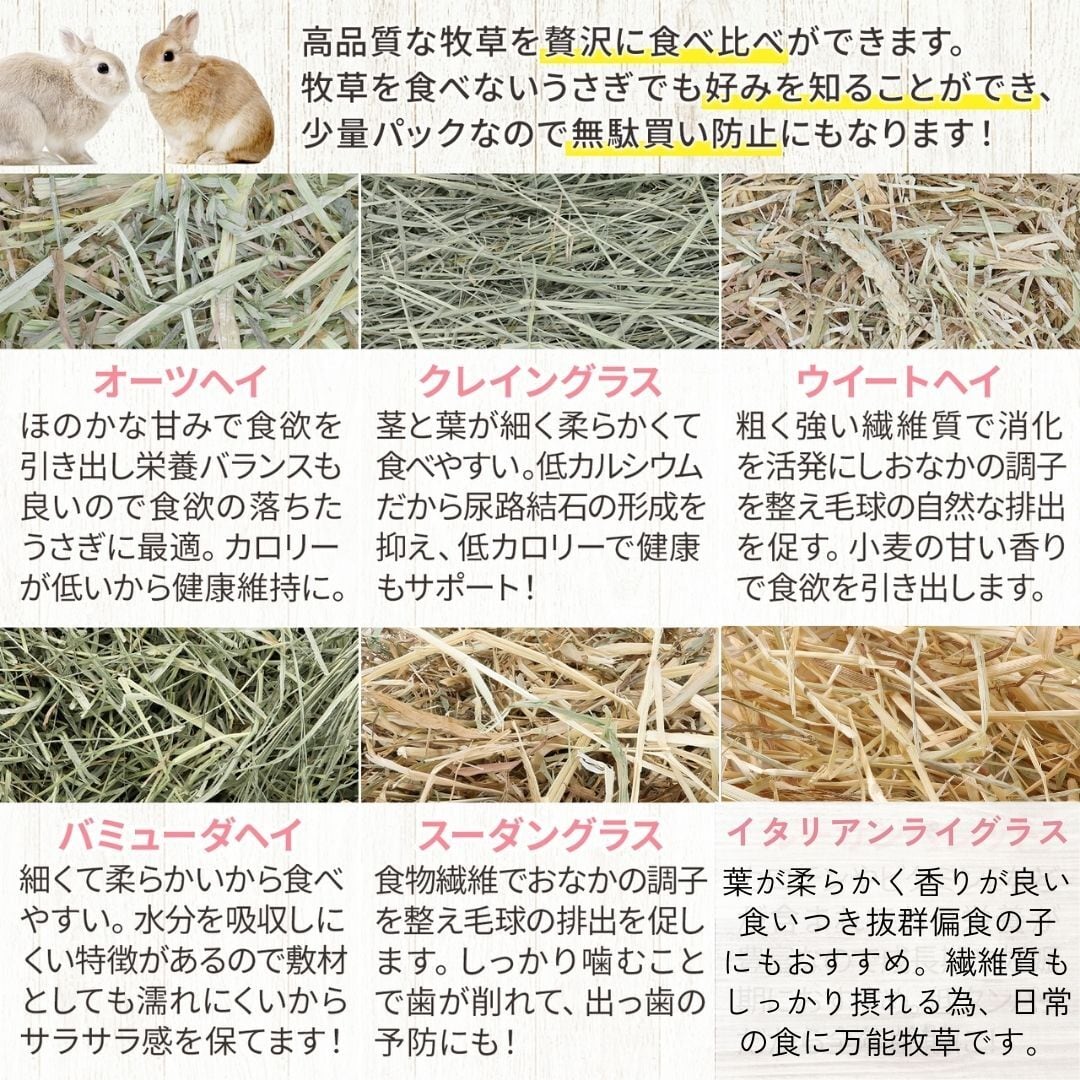 牧草王国 お試し牧草 50g×12種類 パック | うさぎの牧草チモシーもふ