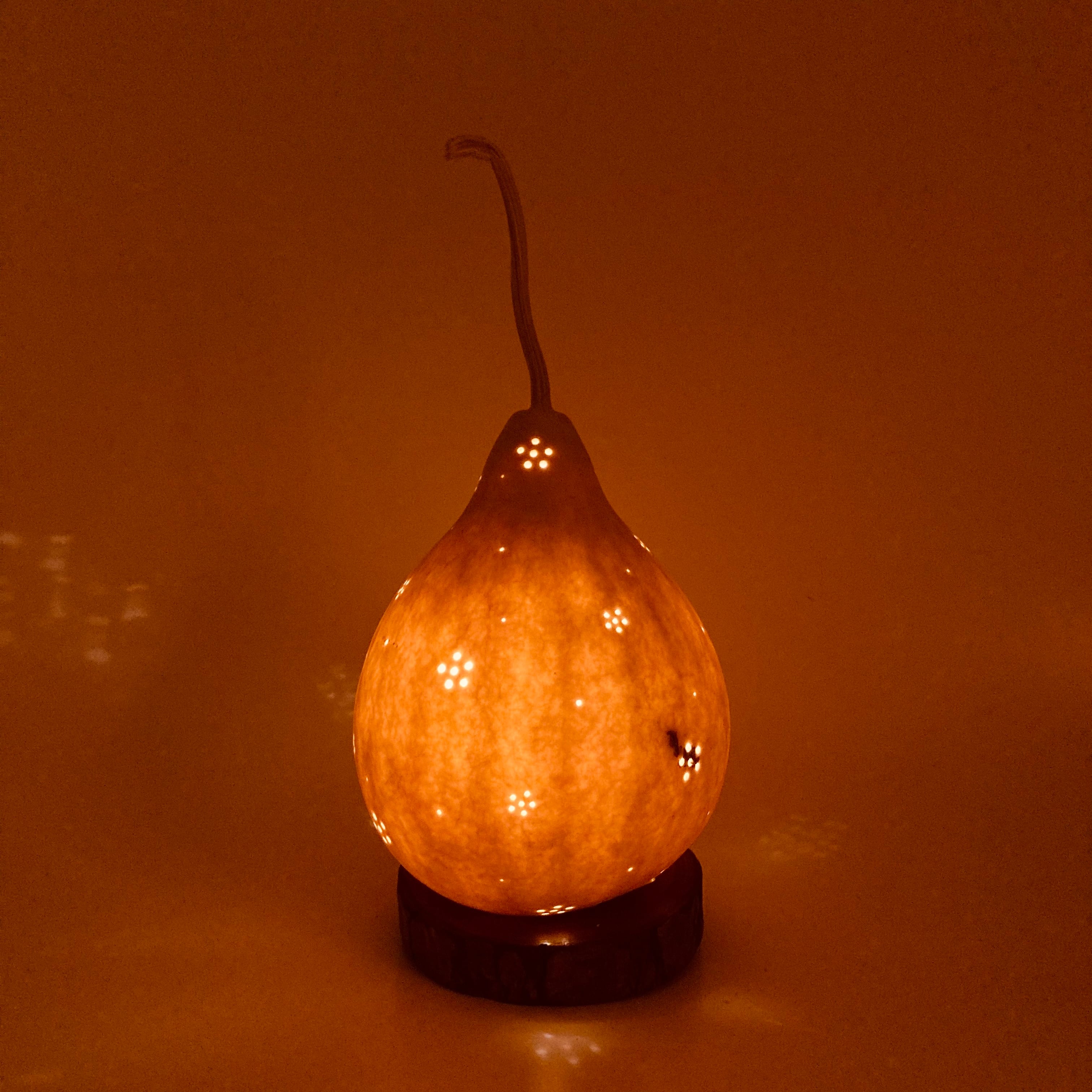 こつぼごけランプ11