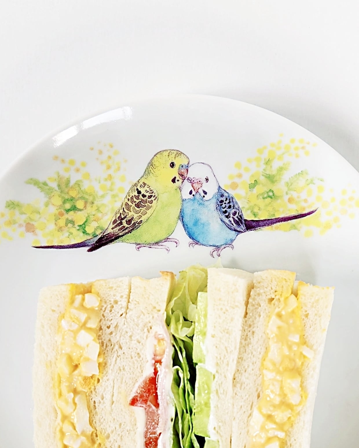 カラフルなインコの絵皿27センチ ミモザとセキセイインコ達のプレート（鳥・食器・オリジナル